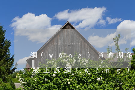 網(wǎng)貸逾期多少才會(huì)被上訴(網(wǎng)貸逾期會(huì)被起訴嗎)