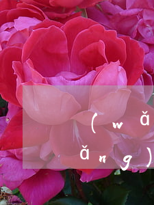 網(wǎng)貸逾期多少時間起訴(網(wǎng)貸逾期訴訟時效是多久)