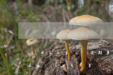 網(wǎng)貸逾期多少會(huì)上法庭(網(wǎng)貸逾期多少天會(huì)被起訴)