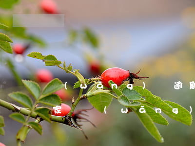 網(wǎng)貸逾期多少會(huì)被家訪(網(wǎng)貸逾期會(huì)連累家人嗎)