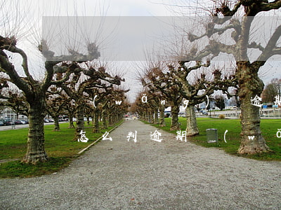 網(wǎng)貸逾期多少法院立案(法院是怎么判逾期網(wǎng)貸)