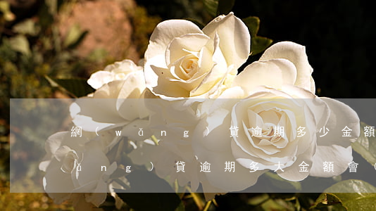 網(wǎng)貸逾期多少金額巨大(網(wǎng)貸逾期多大金額會(huì)被起訴)