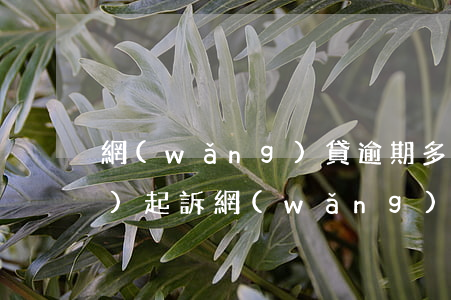 網(wǎng)貸逾期多少錢不會(huì)起訴(網(wǎng)貸逾期欠多少錢會(huì)被起訴)