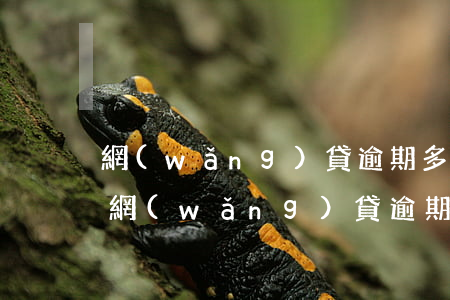 網(wǎng)貸逾期多少錢以上會被起訴 網(wǎng)貸逾期幾千塊錢會被起訴嗎