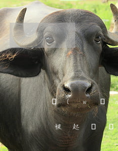 網(wǎng)貸逾期多少錢會(huì)被起訴嗎(網(wǎng)貸逾期被起訴要還多少)