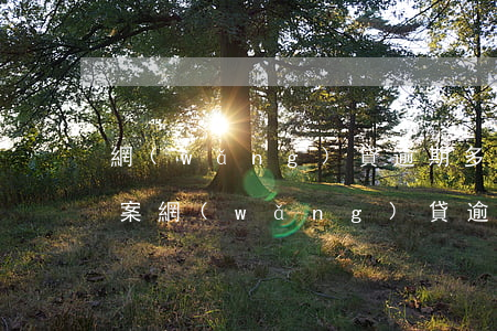 網(wǎng)貸逾期多少錢法院才會給立案(網(wǎng)貸逾期多少錢法院才會給立案)