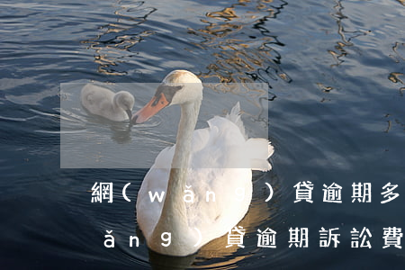 網(wǎng)貸逾期多少錢能起訴(網(wǎng)貸逾期訴訟費要多少)
