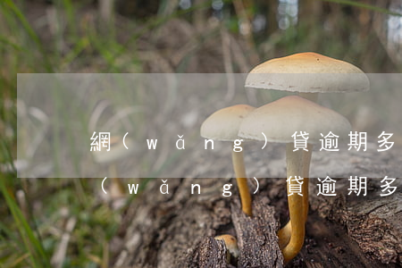 網(wǎng)貸逾期多年會影響買房子 網(wǎng)貸逾期多久會影響買房