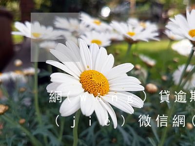 網(wǎng)貸逾期多會(huì)凍結(jié)微信(網(wǎng)貸欠款微信會(huì)被凍結(jié)嗎)