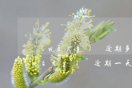 網(wǎng)貸逾期多次班爆通訊錄(網(wǎng)貸逾期一天就爆通訊錄)
