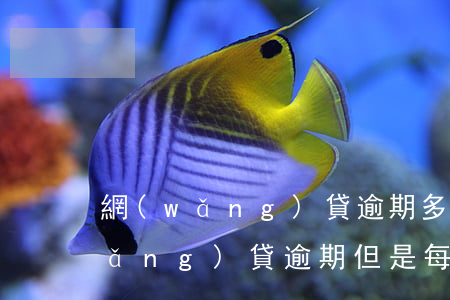 網(wǎng)貸逾期多次還款不了(網(wǎng)貸逾期但是每月還)