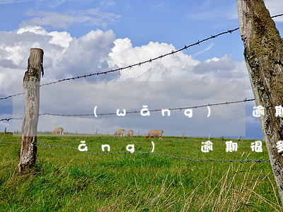 網(wǎng)貸逾期多次還能貸嗎(網(wǎng)貸逾期很多次可以貸款嗎)