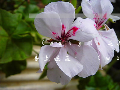 網(wǎng)貸逾期多長時間才有可能被告上法庭-網(wǎng)貸逾期多長時間才有可能被告上法庭呢
