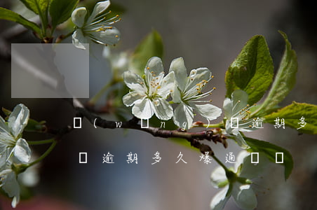 網(wǎng)貸逾期多長時間爆通訊錄（快貸逾期多久爆通訊錄）