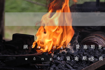 網(wǎng)貸逾期多長時間能立案(網(wǎng)貸逾期多長時間能立案)