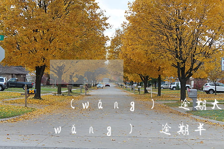 網(wǎng)貸逾期大半年會起訴嗎(網(wǎng)貸逾期半個月會被起訴嗎)