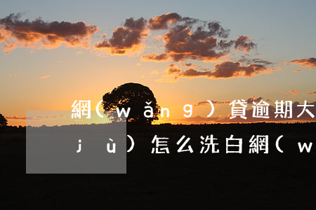 網(wǎng)貸逾期大數(shù)據(jù)怎么洗白(網(wǎng)貸大數(shù)據(jù)黑了)