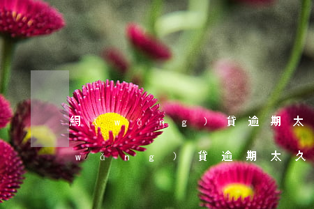 網(wǎng)貸逾期太久利息很多了(網(wǎng)貸逾期太久會怎么樣)