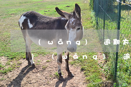網(wǎng)貸逾期太多多久恢復(fù)(網(wǎng)貸逾期過幾天會怎么樣)