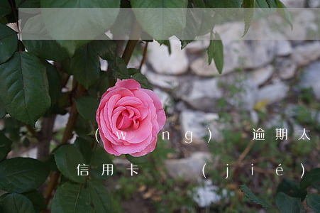 網(wǎng)貸逾期太多導(dǎo)致信用卡凍結(jié)(網(wǎng)貸逾期會(huì)導(dǎo)致信用卡凍結(jié)嗎)