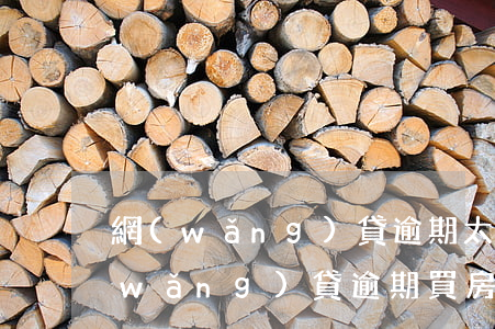 網(wǎng)貸逾期太多影響房貸嗎(網(wǎng)貸逾期買房子有影響嗎)