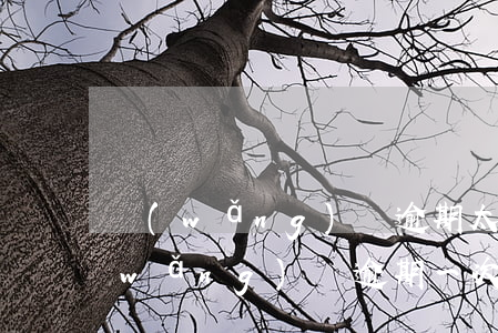 網(wǎng)貸逾期太多次怎么處理(網(wǎng)貸逾期一次)