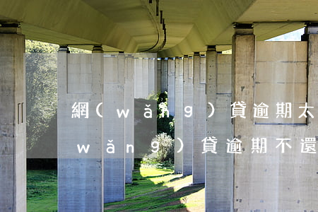 網(wǎng)貸逾期太多還清了五年(網(wǎng)貸逾期不還5年后會(huì)消除嗎)