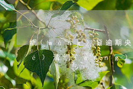 網(wǎng)貸逾期央行顯示已結(jié)清(網(wǎng)貸全部逾期)
