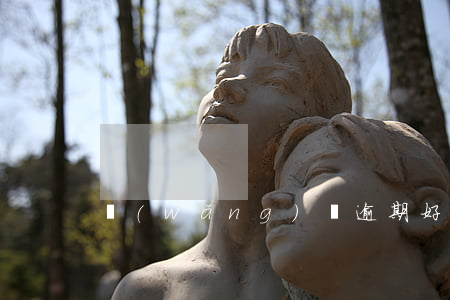 網(wǎng)貸逾期好久可以不還嗎