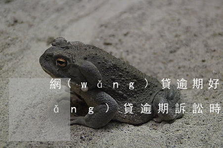 網(wǎng)貸逾期好久可以起訴(網(wǎng)貸逾期訴訟時效是多久)