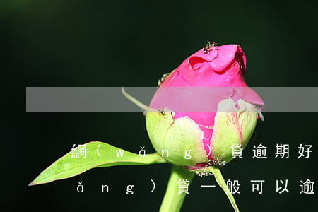 網(wǎng)貸逾期好久會被起訴（網(wǎng)貸一般可以逾期多久會被起訴）