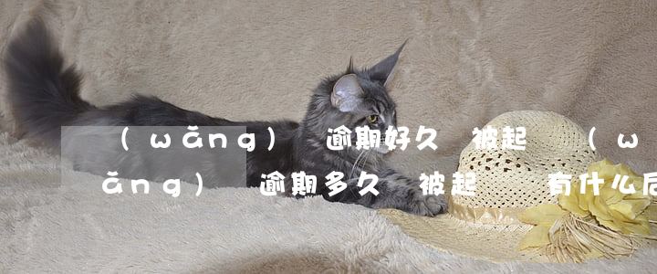 網(wǎng)貸逾期好久會被起訴(網(wǎng)貸逾期多久會被起訴會有什么后果)