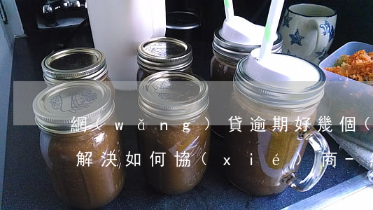 網(wǎng)貸逾期好幾個(gè)月,想解決如何協(xié)商-網(wǎng)貸逾期好幾個(gè)月,想解決如何協(xié)商還款