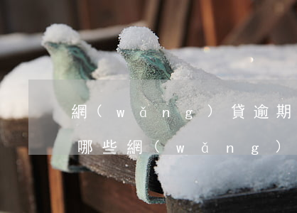 網(wǎng)貸逾期好幾期怎么還(逾期了哪些網(wǎng)貸還能過)