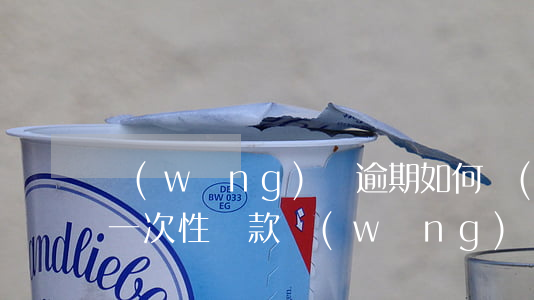 網(wǎng)貸逾期如何協(xié)商一次性還款(網(wǎng)貸逾期協(xié)商還款技巧)
