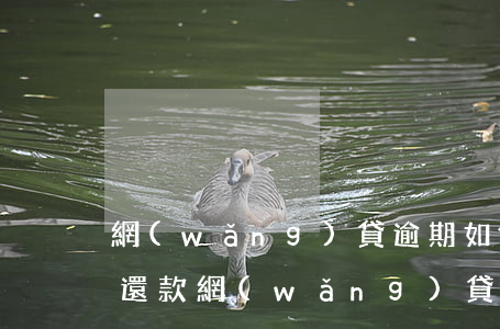 網(wǎng)貸逾期如何協(xié)商還款（網(wǎng)貸沒有逾期協(xié)商還款方案）