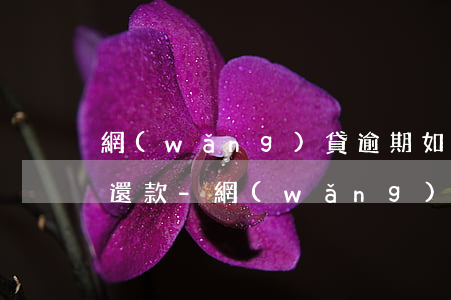 網(wǎng)貸逾期如何取消銀行卡自動還款-網(wǎng)貸逾期如何取消銀行卡自動還款業(yè)務(wù)