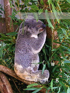 網(wǎng)貸逾期如何合法處理(網(wǎng)貸逾期需要知道法律)