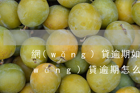 網(wǎng)貸逾期如何和家人溝通(網(wǎng)貸逾期怎么和催收溝通)