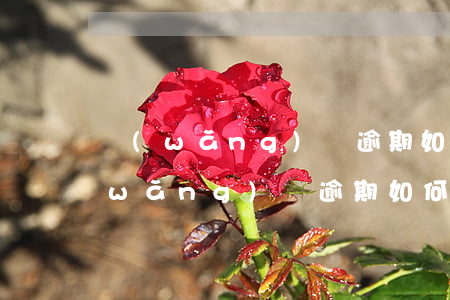 網(wǎng)貸逾期如何暴打通訊錄(網(wǎng)貸逾期如何暴打通訊錄)