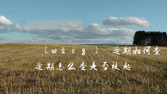 網(wǎng)貸逾期如何查詢是否被起訴（逾期怎么查是否被起訴）