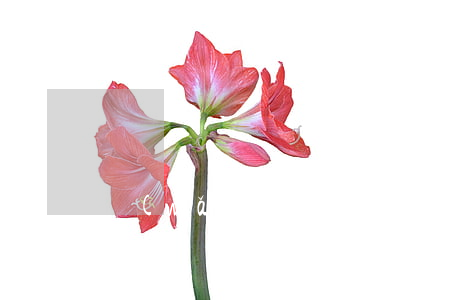 網(wǎng)貸逾期如何確認(rèn)被起訴了 網(wǎng)貸逾期怎么看有沒(méi)有被起訴