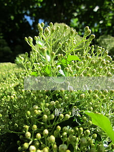 網(wǎng)貸逾期如何解綁銀行卡(如何解除網(wǎng)貸綁定的銀行卡)