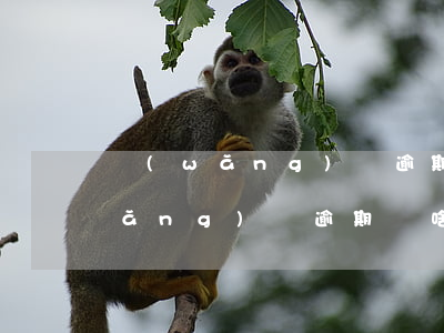網(wǎng)貸逾期如何說利滾利(網(wǎng)貸逾期為啥不漲利息了)