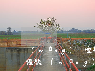 網(wǎng)貸逾期如何進(jìn)行催款(網(wǎng)貸逾期一直催怎么辦)