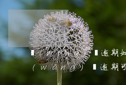 網(wǎng)貸逾期如何避免上門催收(網(wǎng)貸逾期可以上門催收嗎)