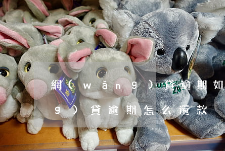 網(wǎng)貸逾期如何還款 網(wǎng)貸逾期怎么還款