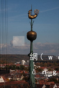 網(wǎng)貸逾期如果被起訴了(網(wǎng)貸逾期了被起訴了怎么辦)