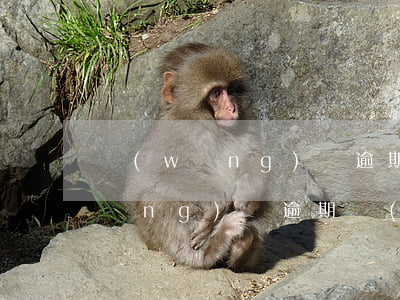 網(wǎng)貸逾期威脅短信大全(網(wǎng)貸逾期發(fā)短信)
