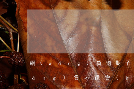 網(wǎng)貸逾期子女不能讀書(網(wǎng)貸不還會(huì)不會(huì)影響孩子上學(xué))